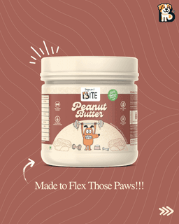 BFAB Peanut Butter for Dogs - 500g Pack of 1 1