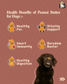 BFAB Peanut Butter for Dogs - 500g Pack of 1 3