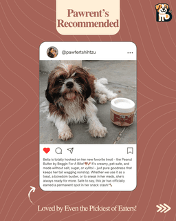 BFAB Peanut Butter for Dogs - 500g Pack of 1 5