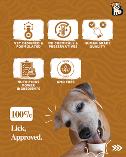 BFAB Oven Baked Kitten Kibble Dry Cat Food - 1Kg 2