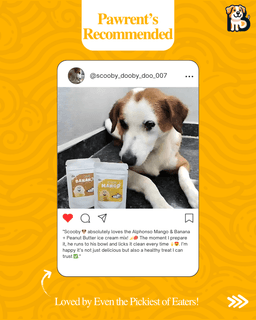 BFAB Oven Baked Kitten Kibble Dry Cat Food - 1Kg 5