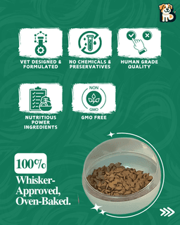 BFAB Natural Frozen Dog Treats – Alphonso Mango & Peanut Butter + Banana – 2 x 40 gm 2