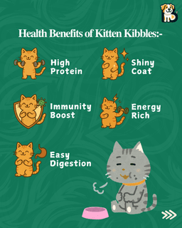 BFAB Natural Frozen Dog Treats – Alphonso Mango & Peanut Butter + Banana – 2 x 40 gm 3