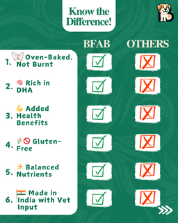 BFAB Natural Frozen Dog Treats – Alphonso Mango & Peanut Butter + Banana – 2 x 40 gm 4