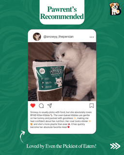 BFAB Natural Frozen Dog Treats – Alphonso Mango & Peanut Butter + Banana – 2 x 40 gm 5