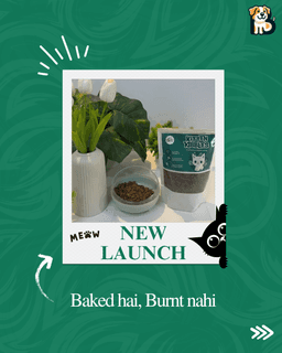 BFAB Natural Frozen Dog Treats – Alphonso Mango & Peanut Butter + Banana – 2 x 40 gm 1