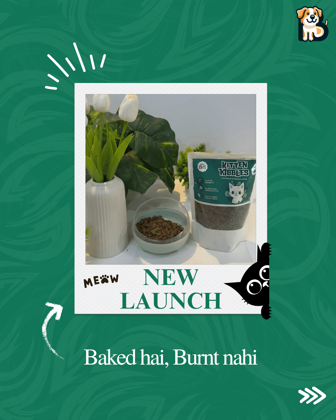 BFAB Natural Frozen Dog Treats – Alphonso Mango & Peanut Butter + Banana – 2 x 40 gm