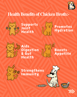 BFAB Chicken Broth for Cats & Dogs | Zero Preservatives 3
