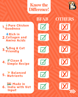 BFAB Chicken Broth for Cats & Dogs | Zero Preservatives 4