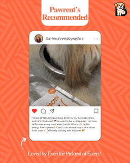 BFAB Chicken Broth for Cats & Dogs | Zero Preservatives 5