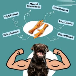 BFAB Dehydrated Crunchy Claws - Chicken Claws for Dogs 3