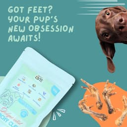 BFAB Dehydrated Crunchy Claws - Chicken Claws for Dogs 1