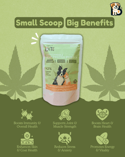 Ashwagandha + Hemp Protein Supplement for Dogs & Cats | Powerful Everyday Wellness Blend 2