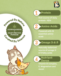 Ashwagandha + Hemp Protein Supplement for Dogs & Cats | Powerful Everyday Wellness Blend 3
