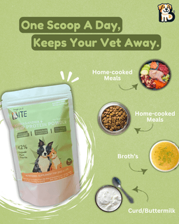 Ashwagandha + Hemp Protein Supplement for Dogs & Cats | Powerful Everyday Wellness Blend 4