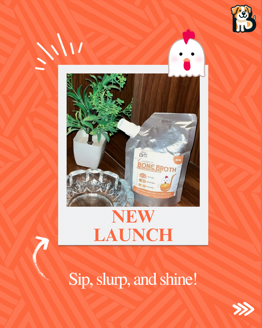 BFAB Chicken Broth for Cats & Dogs | Zero Preservatives - Image 1